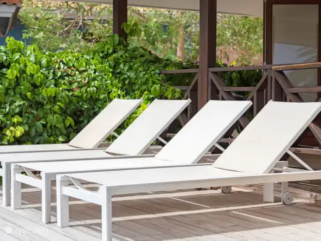 Villa Solaya 4, Jan Thiel | Curaçao, Banda Ariba (est), Jan Thiel - villa Chaises longues confortables au bord de la piscine