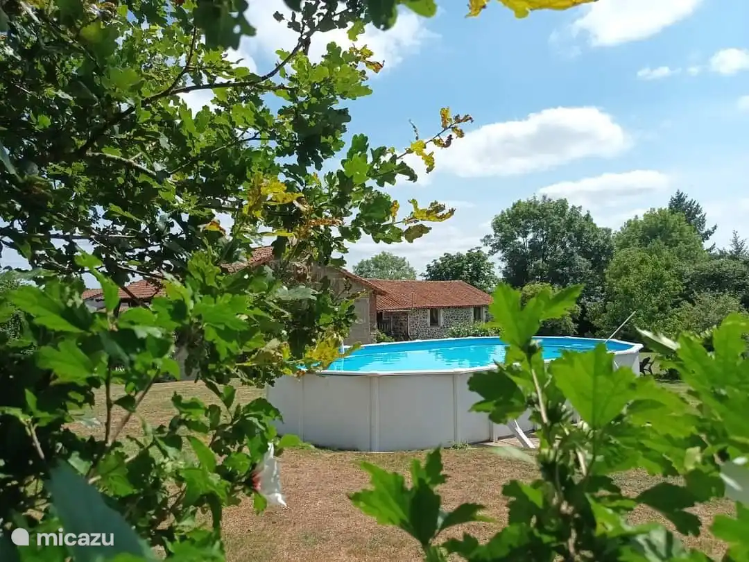 Impressionsgarten mit Swimmingpool.