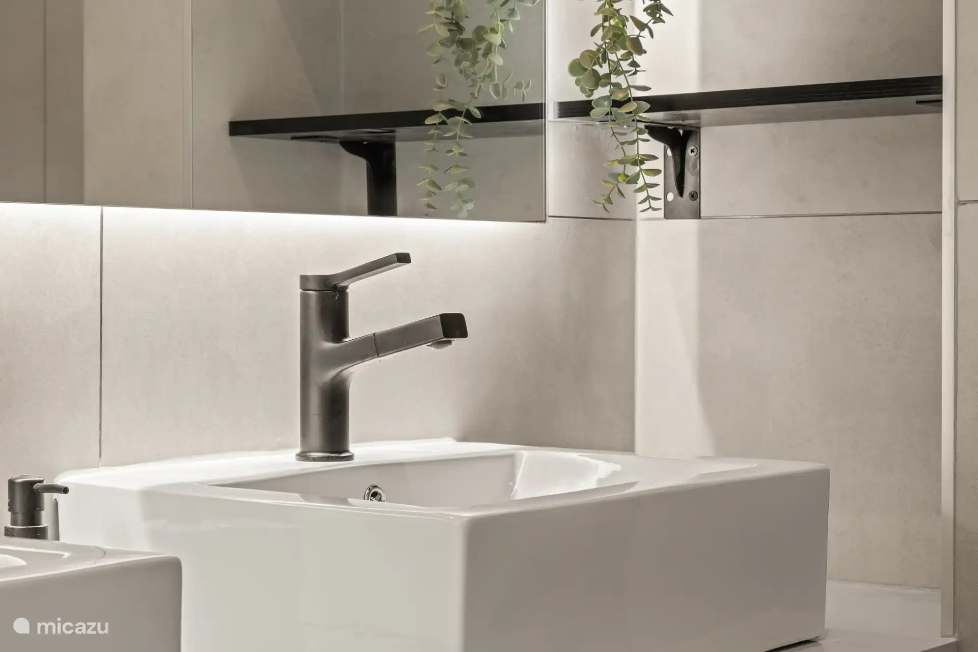 Luxurious bathrooms with sink and shower