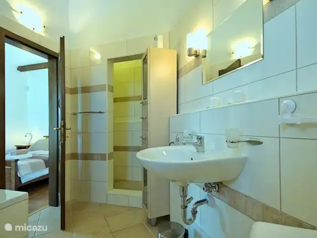 Villa Baldasi 19 en Croacia, Istria, Kastelir-Labinci - villa baño