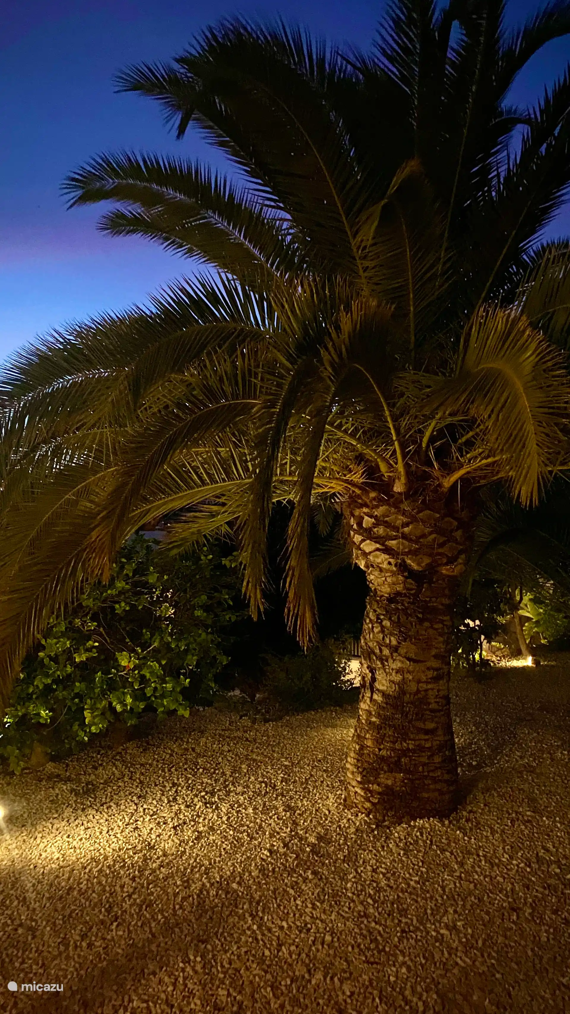Casa Alano está situada en medio de un exuberante jardín mediterráneo con palmeras y rincones atractivos para descansar. La vida mediterránea en su máxima expresión.