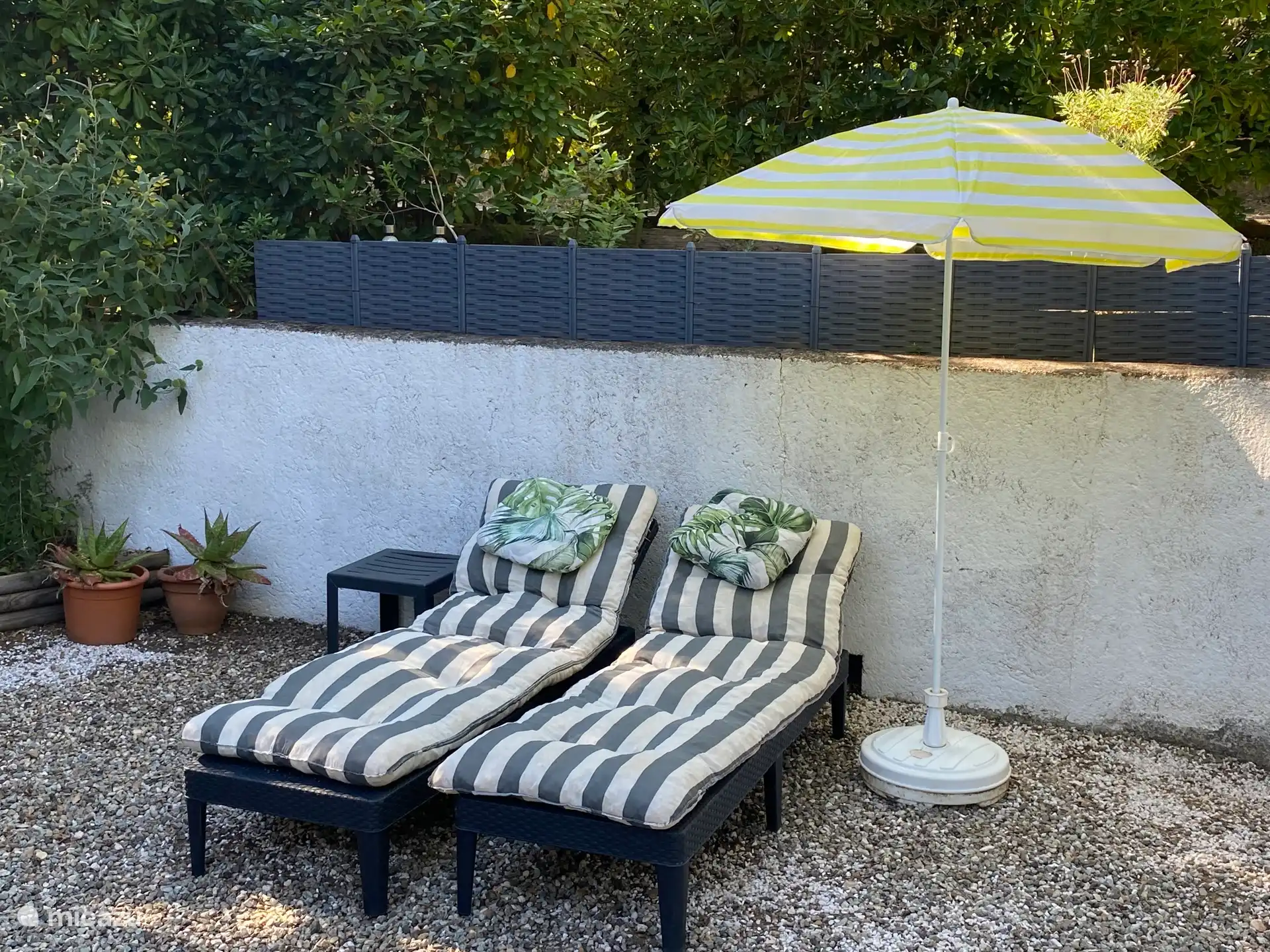 Entspannen Sie sich in den Liegestühlen