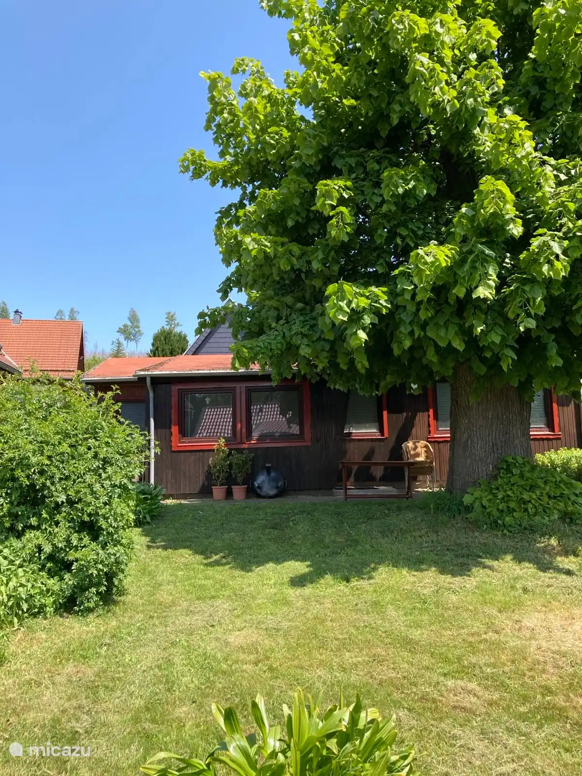Herrlich im Schatten der Linde