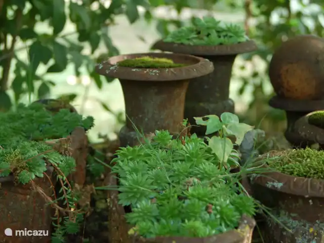 Mas De Cazes | France, Tarn-et-Garonne, Parisot - maison de vacances Ambiance dans le jardin