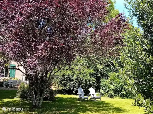 Maison des Coeurs Perdus huren in Frankrijk, Bourgogne, Sainte-Colombe-des-Bois - vakantiehuis tuin