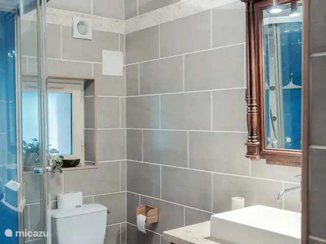 Maison des Coeurs Perdus huren in Frankrijk, Bourgogne, Sainte-Colombe-des-Bois - vakantiehuis Badkamer en suite bij de Tuin slaapkamer met douche en toilet