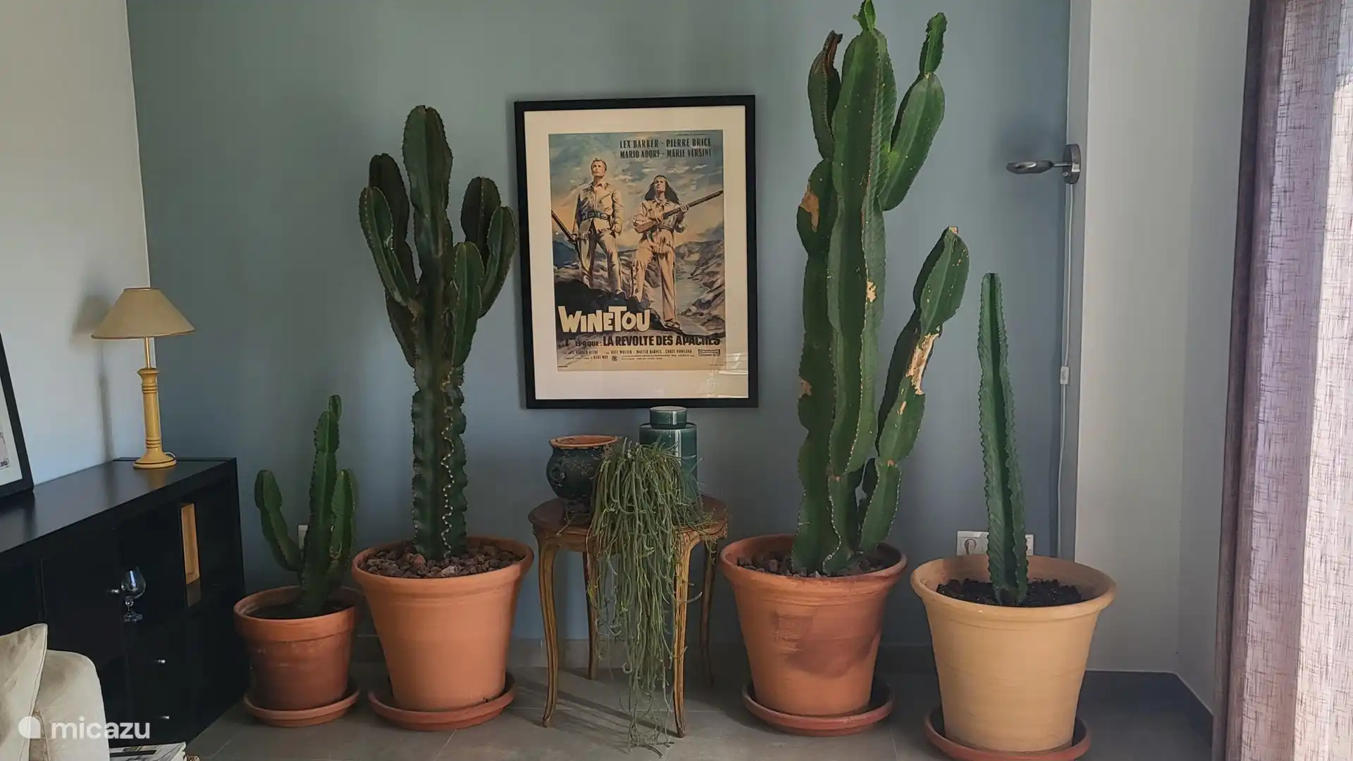 Alle unsere Gäste lieben unsere Pflanzen und Kakteen! Alles wird von unseren Reinigungskräften ordentlich gepflegt, also gießen Sie es nie selbst!