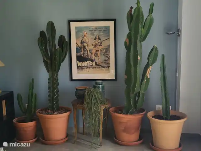 Coeur de Nerja -vue mer + plage 3 min. | Espagne, Costa del Sol, Nerja - appartement Tous nos clients adorent nos plantes et nos cactus ! Tout est soigneusement pris en charge par nos nettoyeurs, alors ne l’arrosez jamais vous-même !
