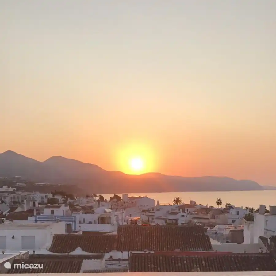 
Guten Morgen auf der hinteren Terrasse