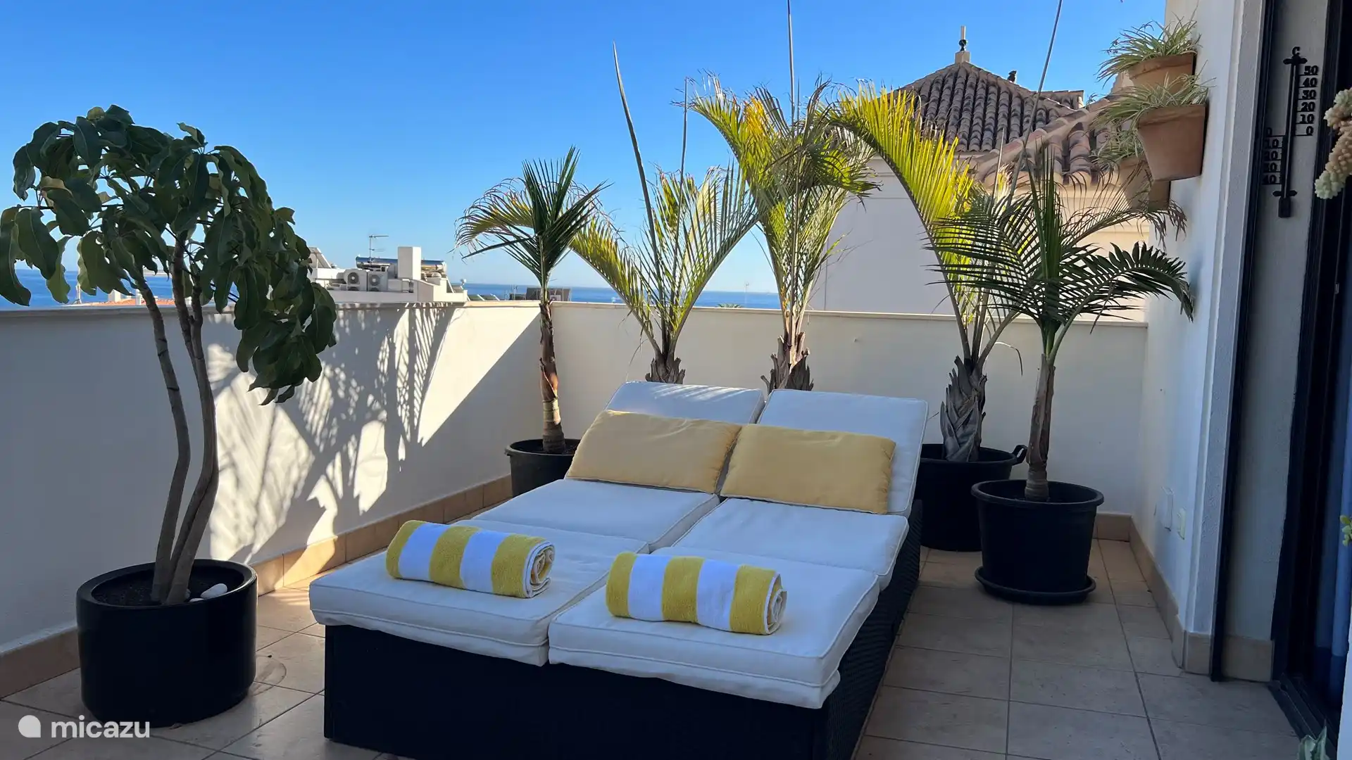 Sie können dies auch auf der hinteren Terrasse tun