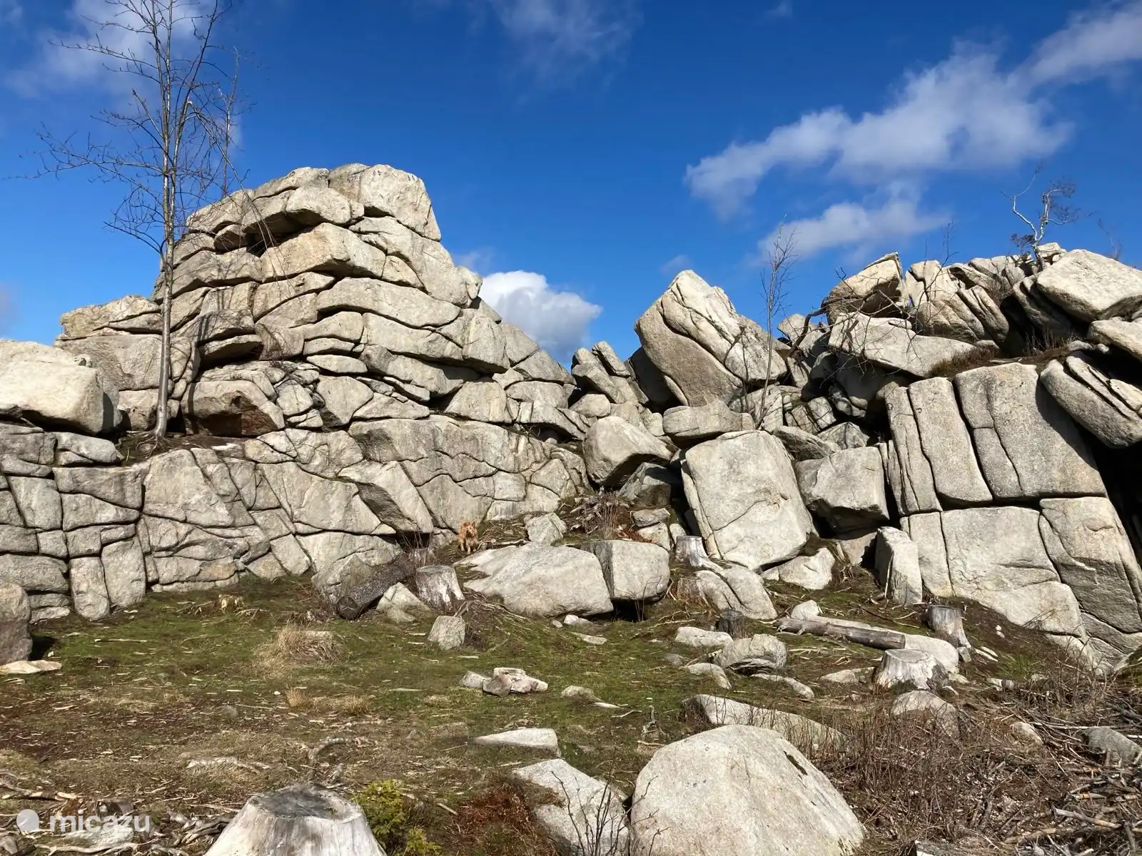 Die Feurstein-Felsen, ideal für Kletterer und Boulderer