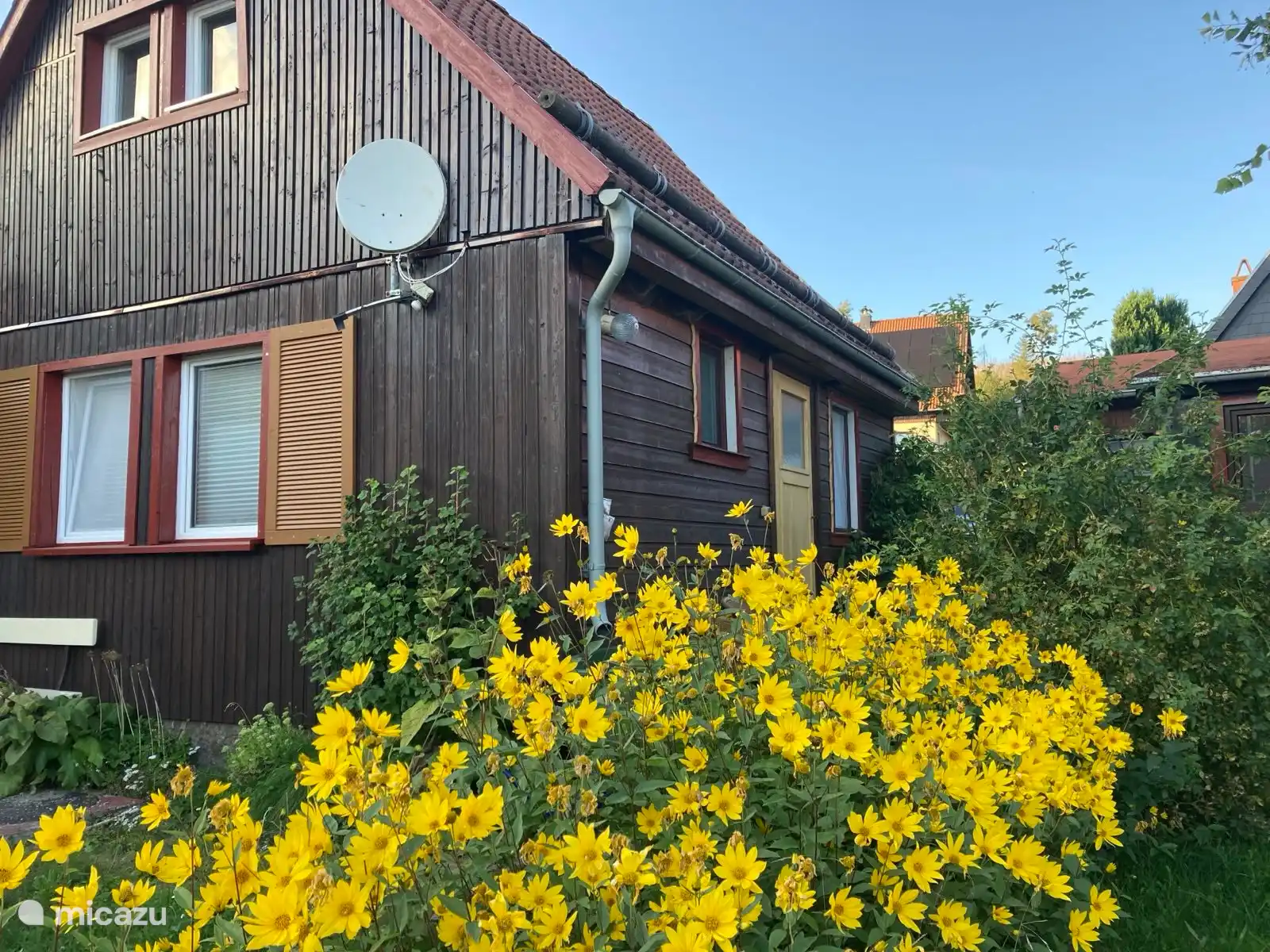 Vegetation im Sommer