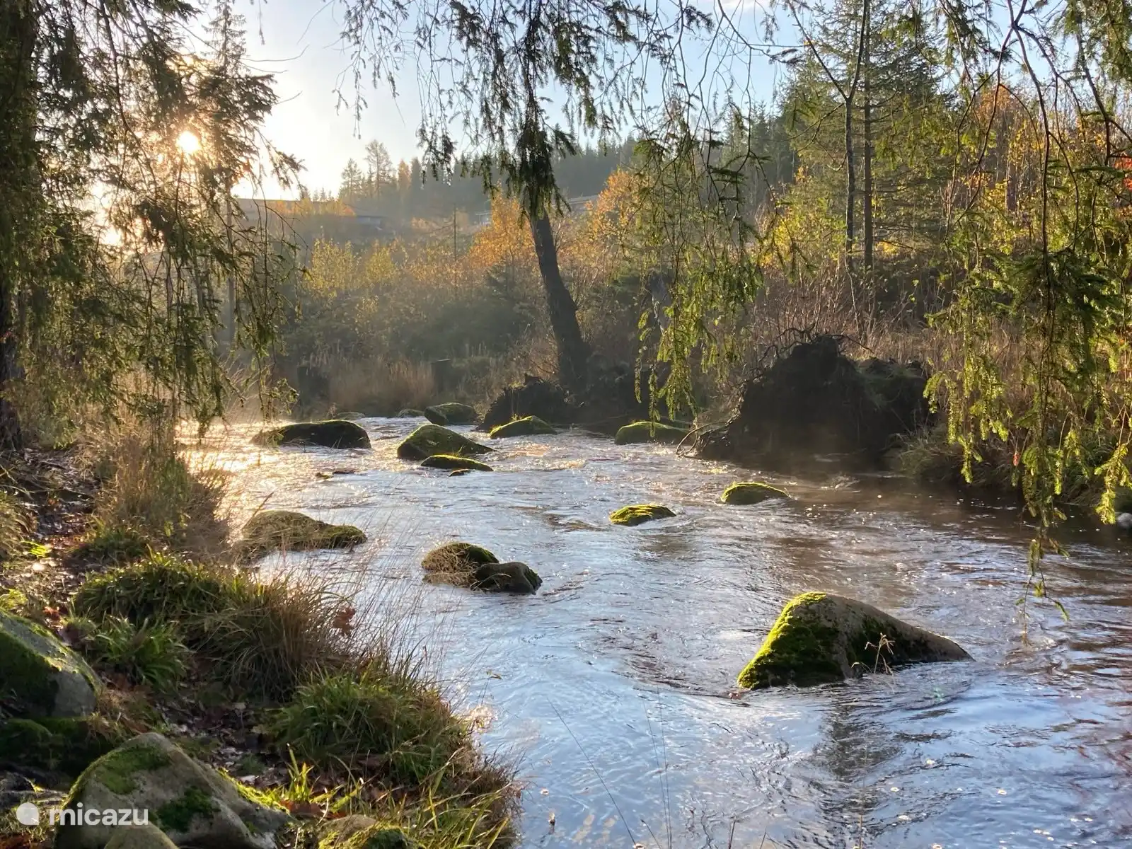 Die Bode fließt durch die Schierke, wenige hundert Meter vom Haus entfernt, auf ihrem Weg nach Elend. Sie können einen schönen Spaziergang entlang der Bode unternehmen.