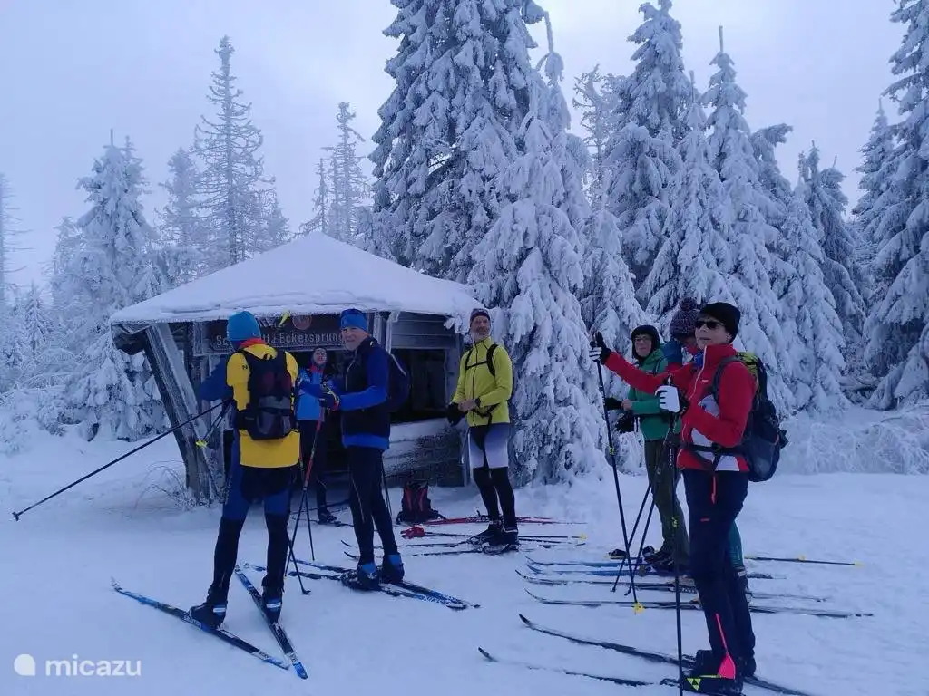 Bei genügend Schnee verwandelt sich das Gebiet in ein weitläufiges Langlaufparadies mit unzähligen Routen.
