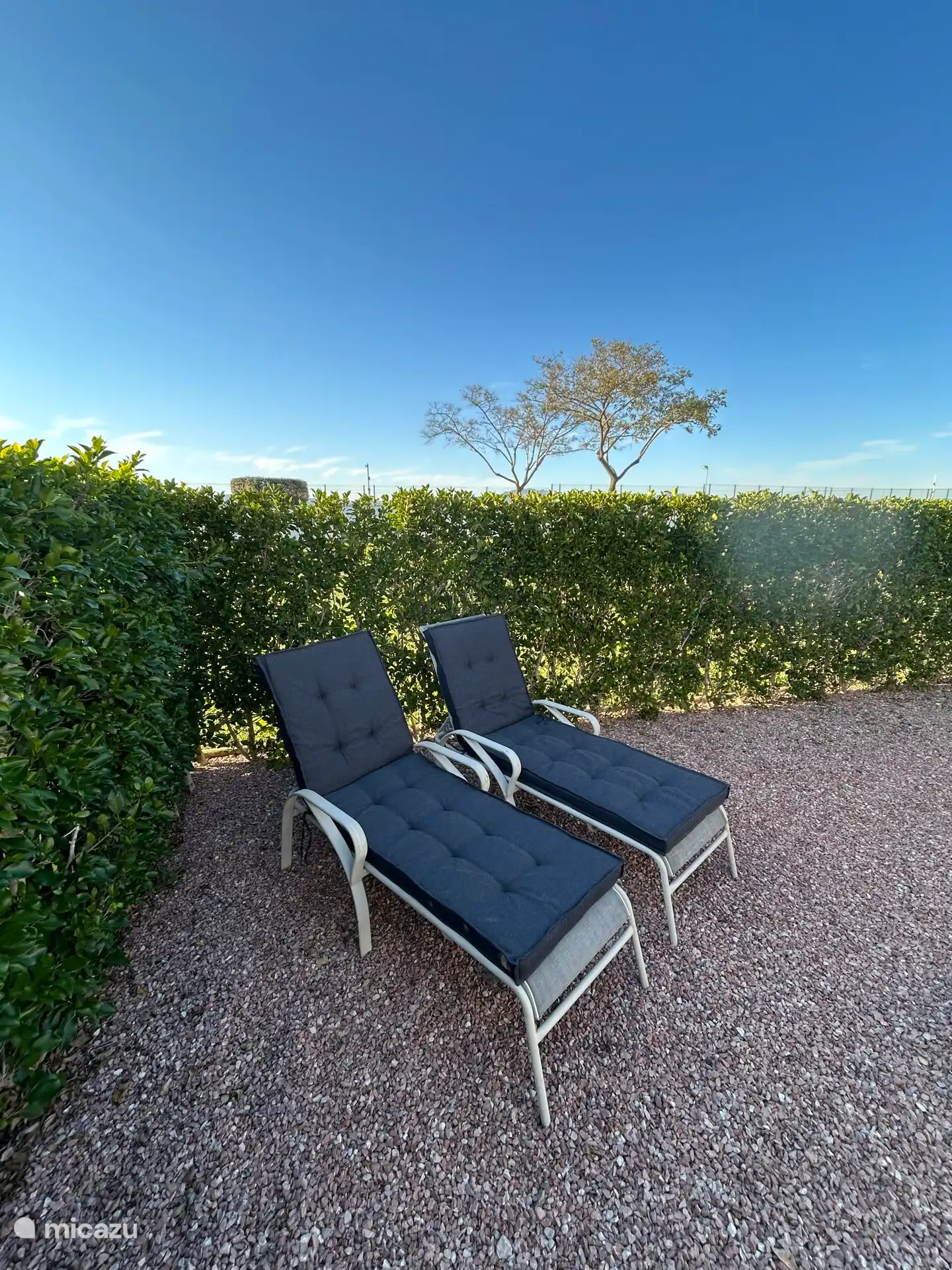 A wonderful place to enjoy a book. 