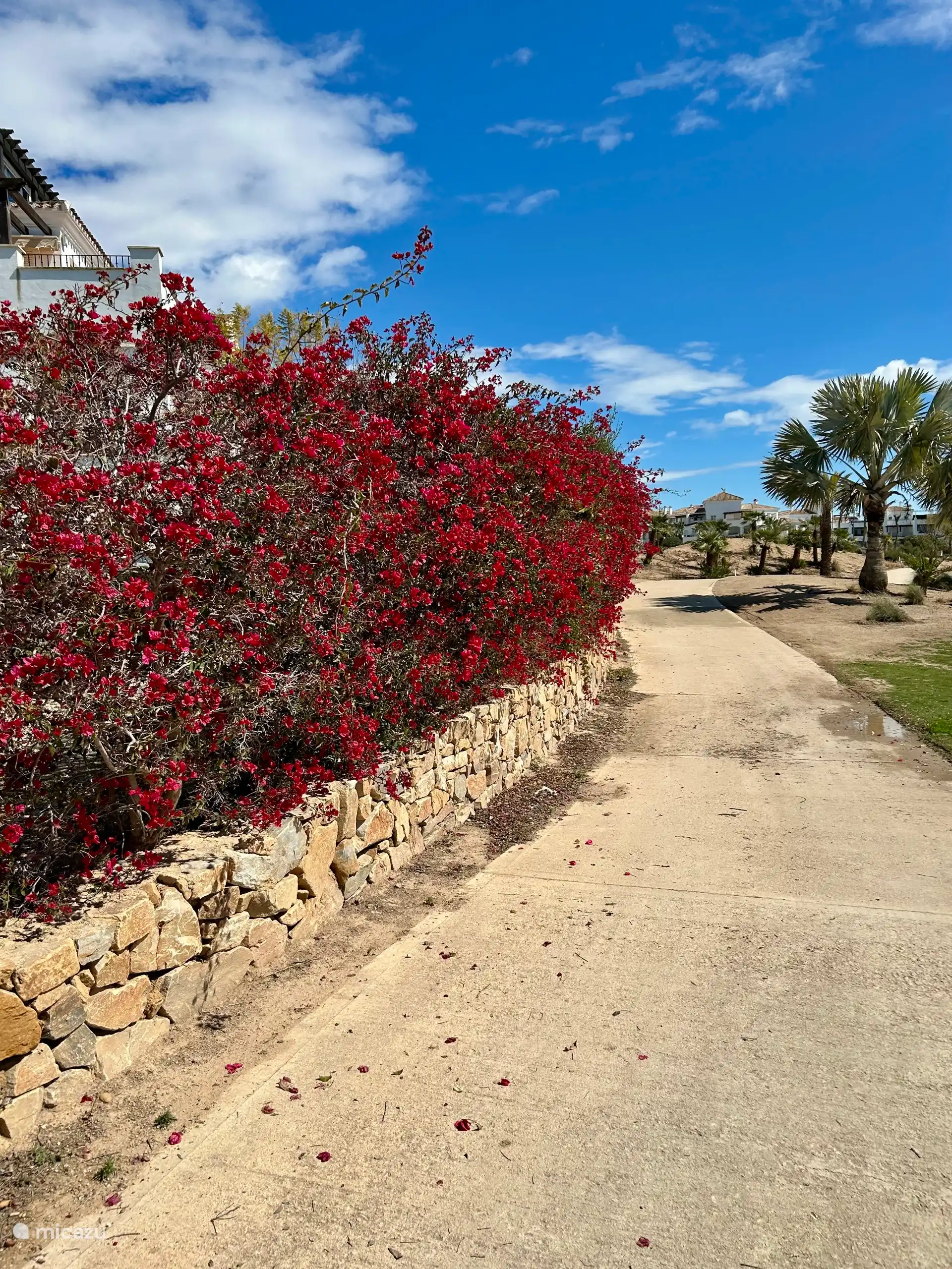 The entire resort is maintained in tip-top condition. 