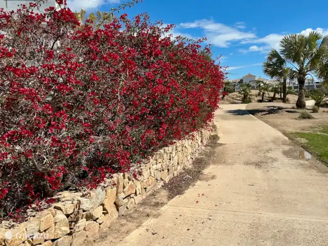 Casa To-r-relax en España, Costa Cálida, Torre Pacheco - casa vacacional Todo el complejo se mantiene en óptimas condiciones.