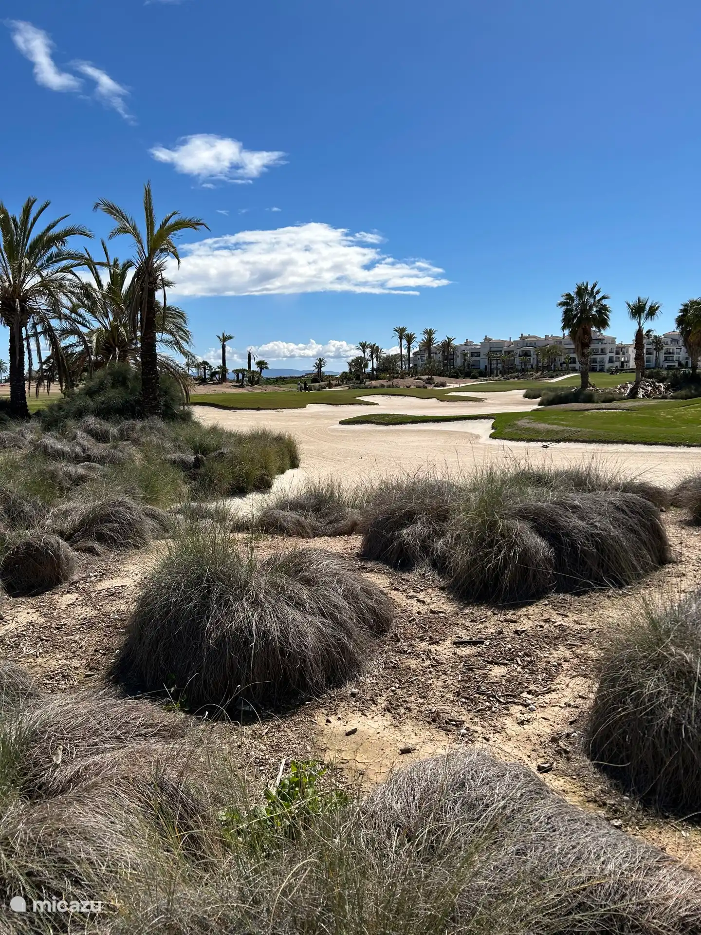 A nice evening walk along the green.