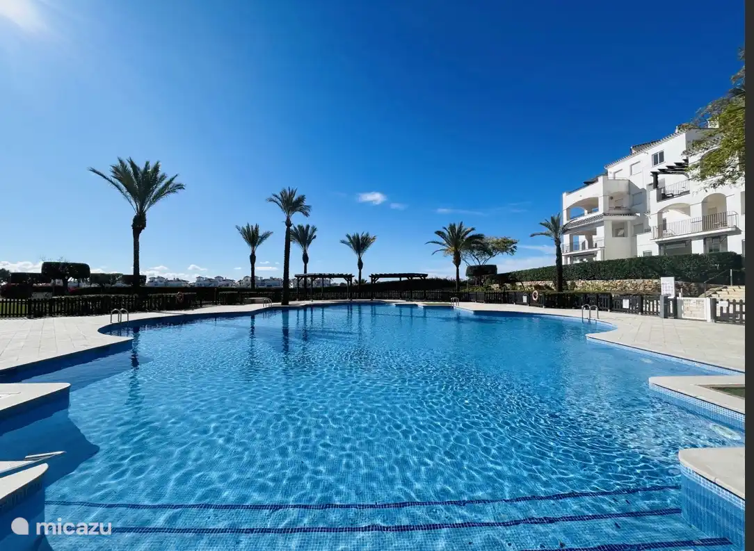 1 of the 20 swimming pools 