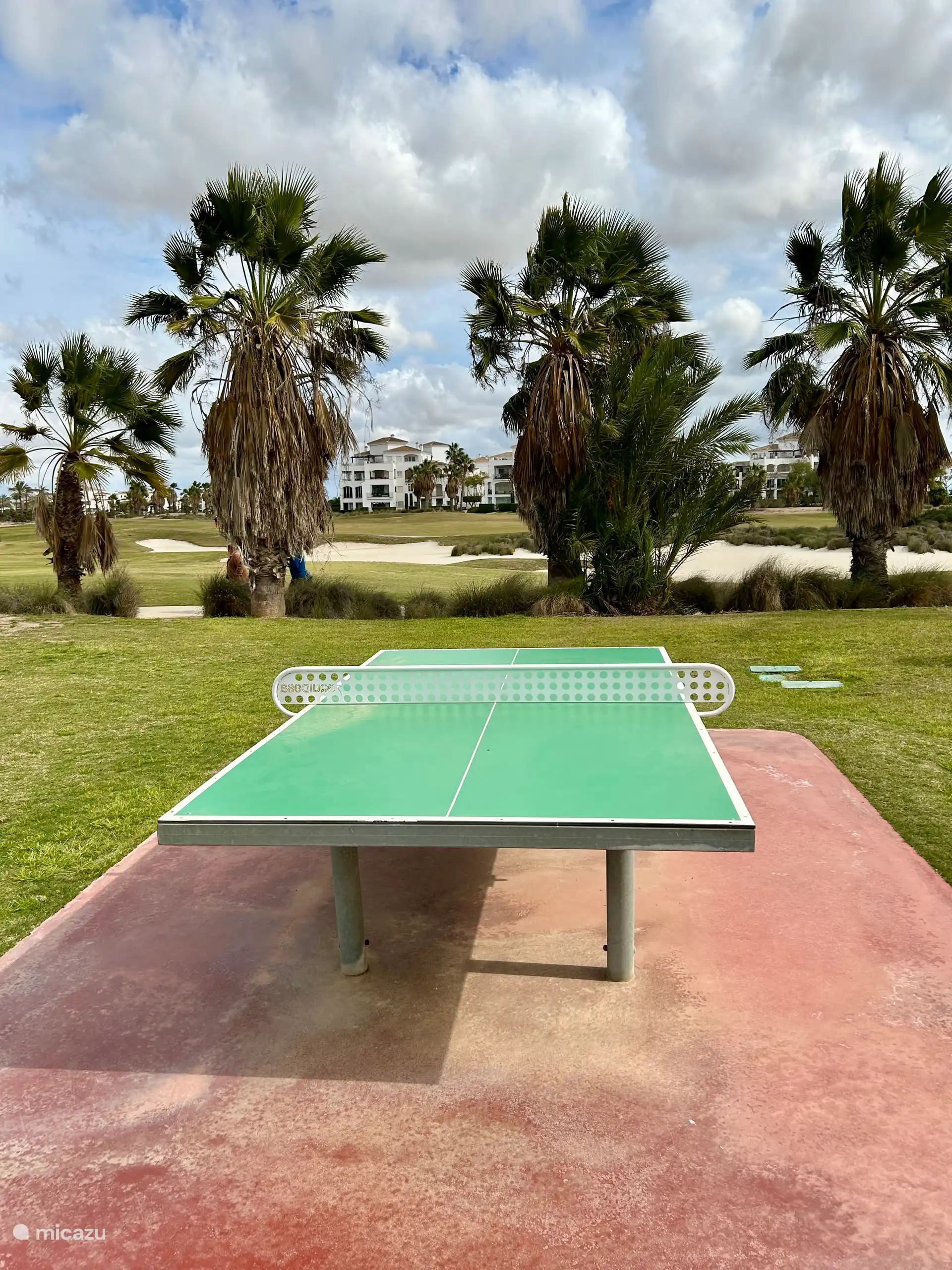 Table tennis with a view. Padel and tennis are free to use.
