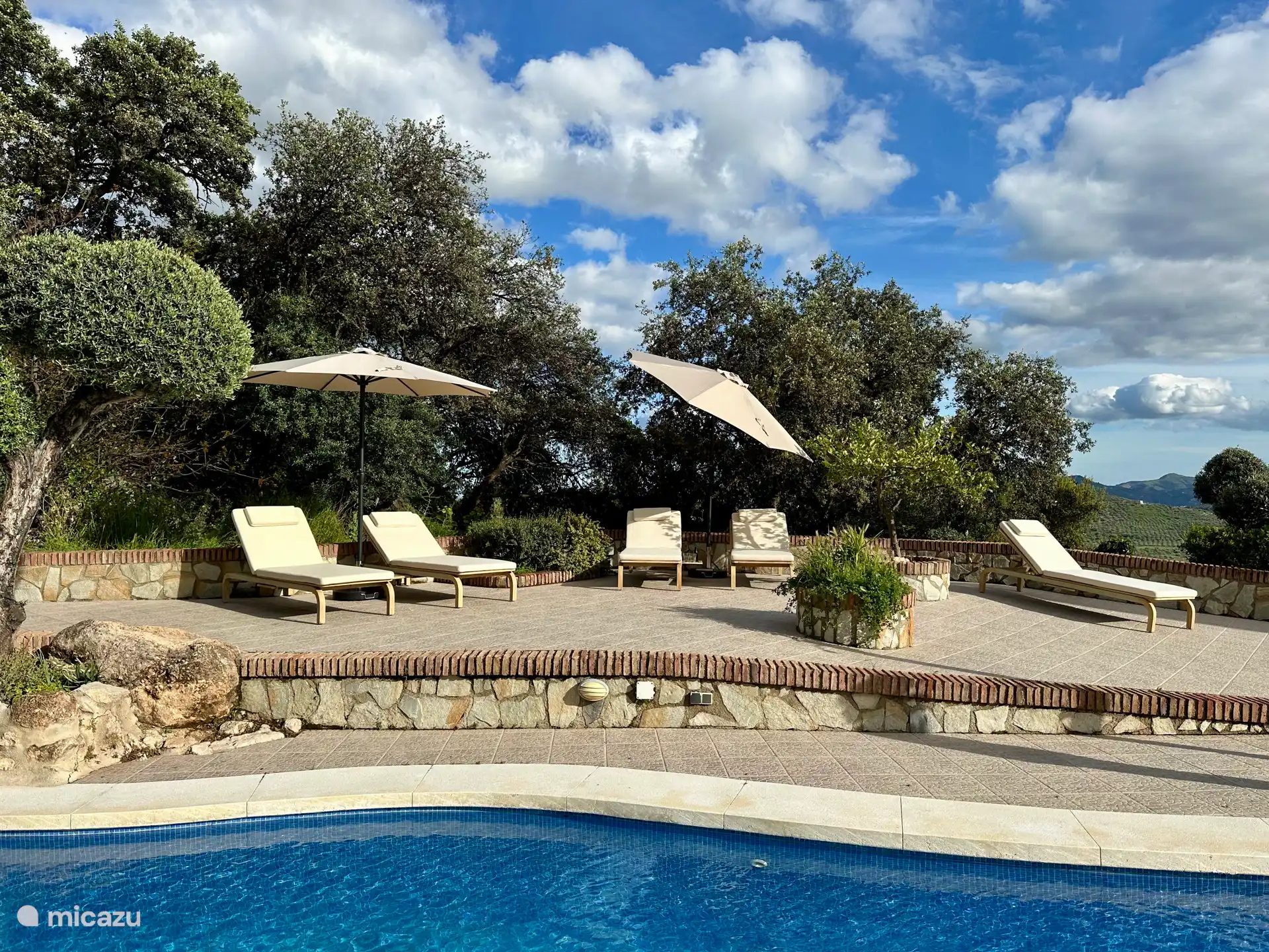 Sonnenliegen am Pool. Insgesamt 6 Stück.