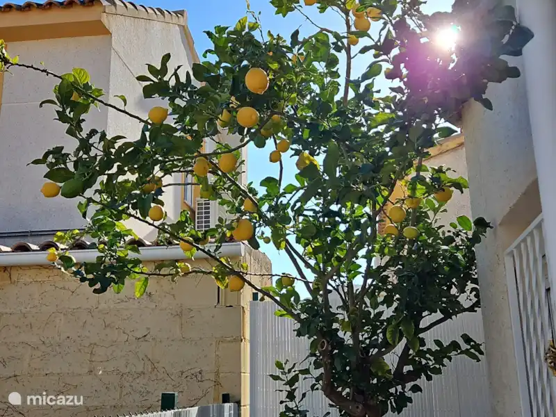 Casa Rita Blanca | Espagne, Costa Blanca, Polop - Villa Casa Rita Blanca | Espagne, Costa Blanca, Polop - Villa