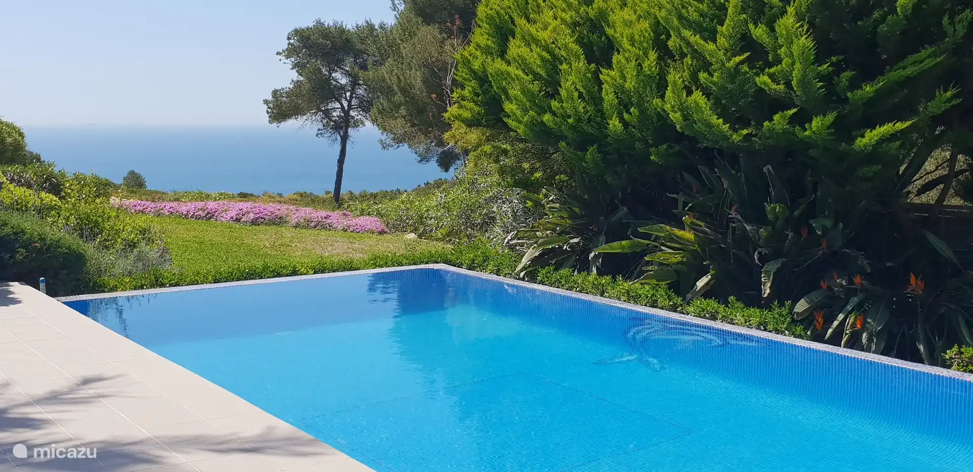 Schwimmen Sie mit Flipper, dem Delfin