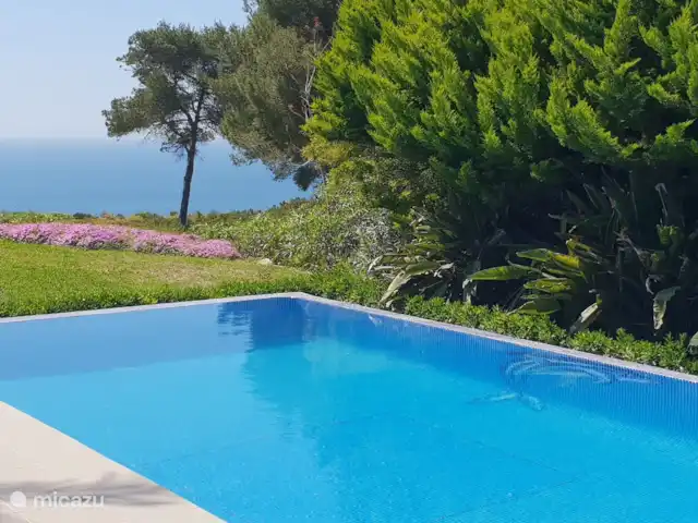 Location de Vacances Espagne, Costa Blanca, Jávea, villa - villa Amadeus Nagez avec Flipper le dauphin
