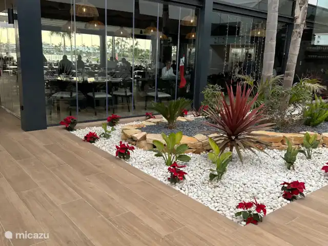 Location de Vacances Espagne, Murcia, Torre-Pacheco, appartement - Casa Wilatie - Santa Rosalía Réserver Restaurant Plus Salle de sport