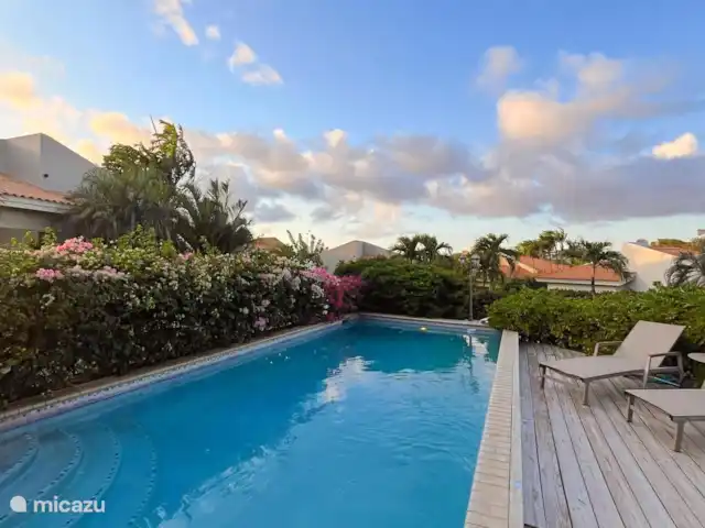 Casa Pura Vida | Curaçao, Curaçao-Centre, Willemstad - maison de vacances Piscine