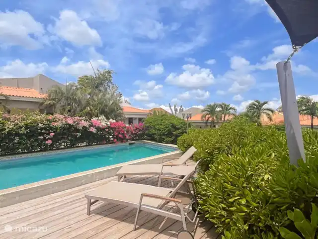Casa Pura Vida | Curaçao, Curaçao-Centre, Willemstad - maison de vacances Piscine avec chaises longues à disposition