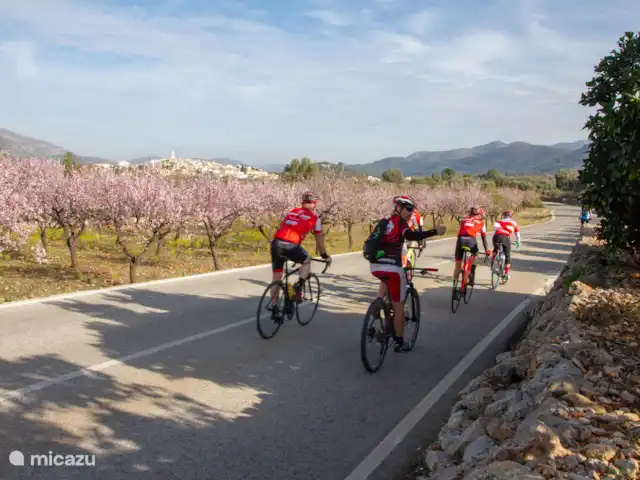 Villa Foia Vella : chambre Oliva  | Espagne, Costa Blanca, Benigembla - chambres d'hôtes Le paradis des cyclistes