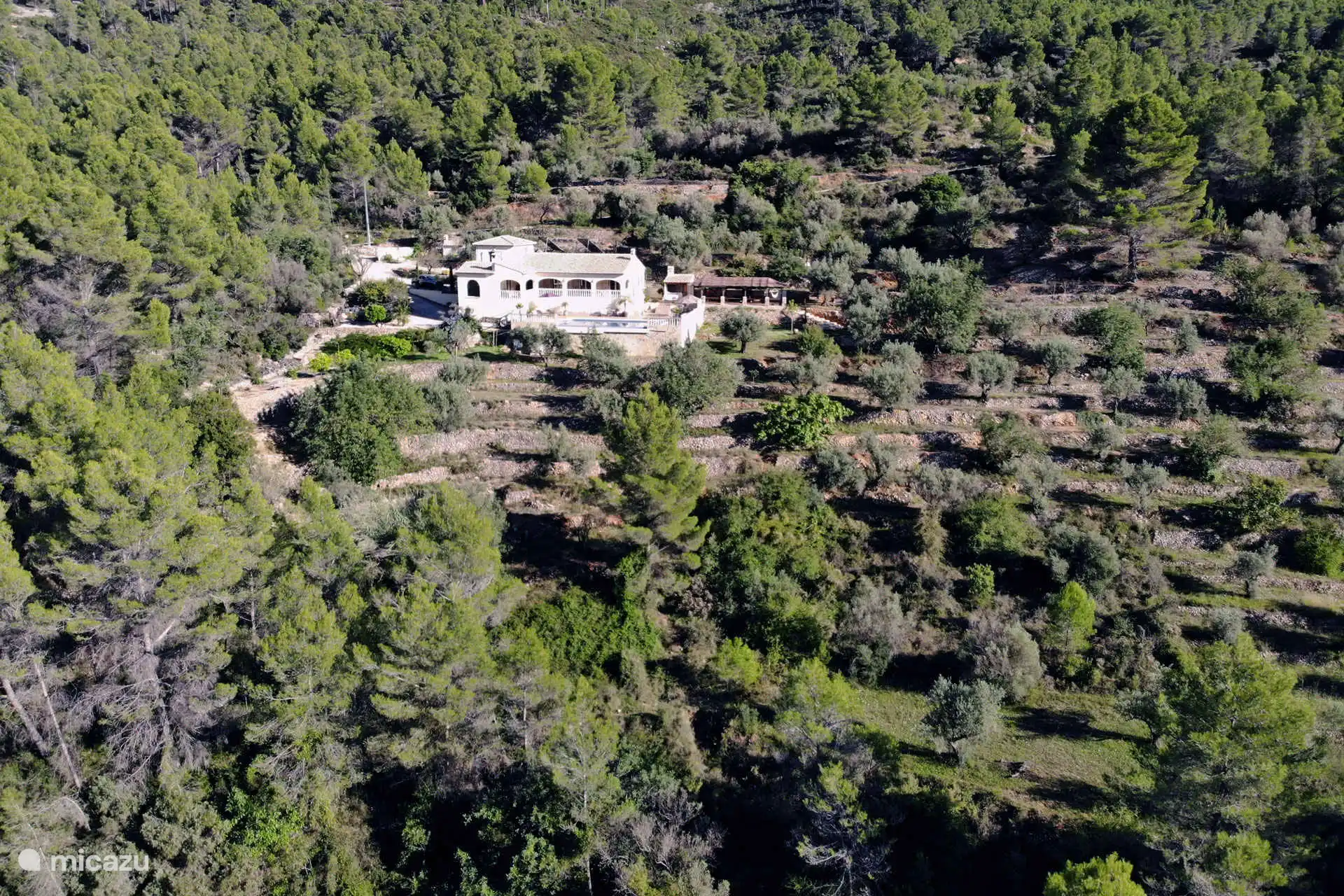 En medio de la naturaleza