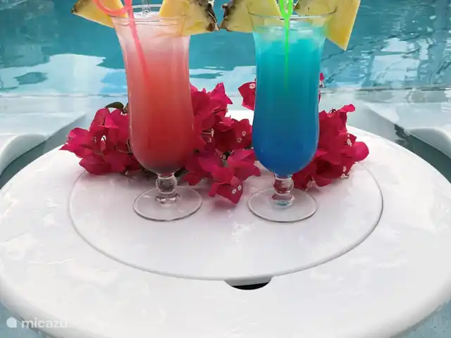 Villa Soleil  | Curaçao, Banda Ariba (est), Montaña Abou - villa Cocktails dans la piscine
