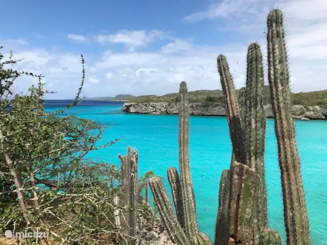 Villa Soleil  | Curaçao, Banda Ariba (est), Montaña Abou - villa Cactus colonnaire avec mer bleu turquoise