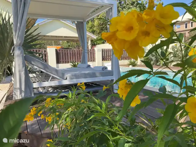 Villa Soleil  | Curaçao, Banda Ariba (est), Montaña Abou - villa Jardin fleuri