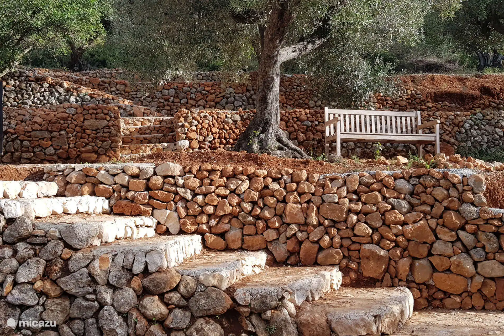 Muros de terraza del olivar