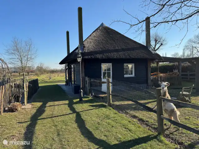 Séjour unique en pleine nature | Pays-Bas, Brabant-Septentrional, Made - ferme Séjour unique en pleine nature | Pays-Bas, Brabant-Septentrional, Made - ferme