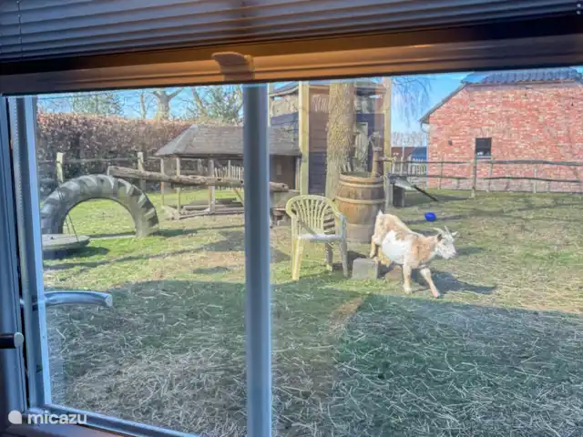 Séjour unique en pleine nature | Pays-Bas, Brabant-Septentrional, Made - ferme Vue depuis la salle de bain