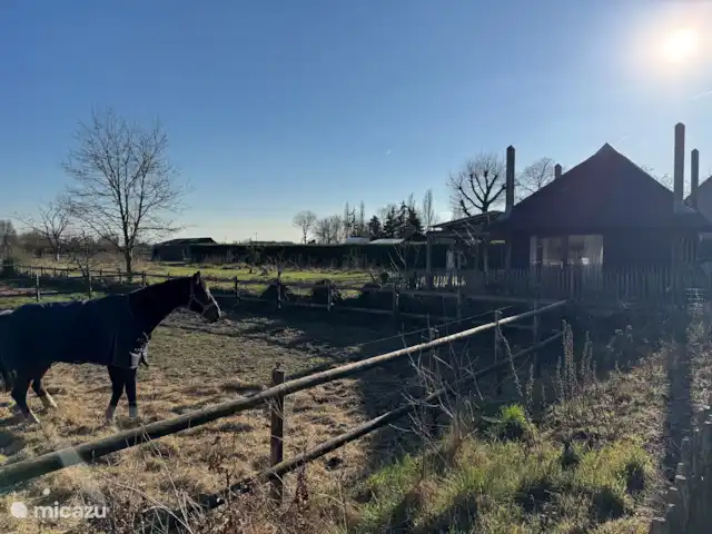 Séjour unique en pleine nature | Pays-Bas, Brabant-Septentrional, Made - ferme Le séjour