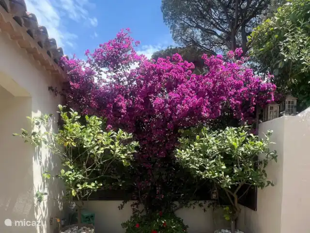Location de Vacances France, Côte d'Azur, Cogolin, maison de vacances - Maison LouLou Terrasse avant