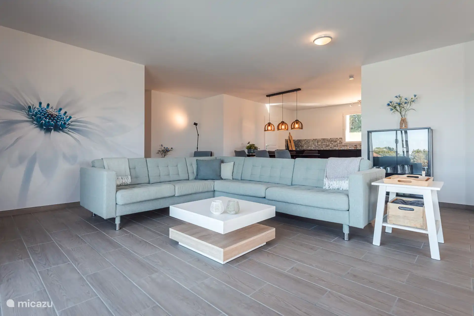 Salon spacieux et lumineux