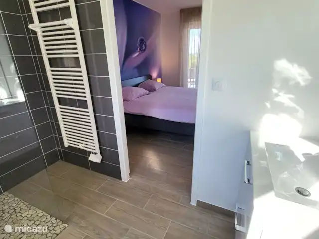 Monplaisant | France, Dordogne, Monplaisant - villa Chambre 1 avec salle de bain