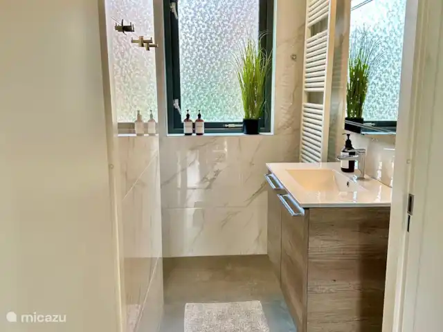 6p. Boshuis *Jacuzzi*De Groene Specht | Pays-Bas, Gueldre, Ewijk - maison de vacances Salle de bain avec grand meuble vasque en bas
