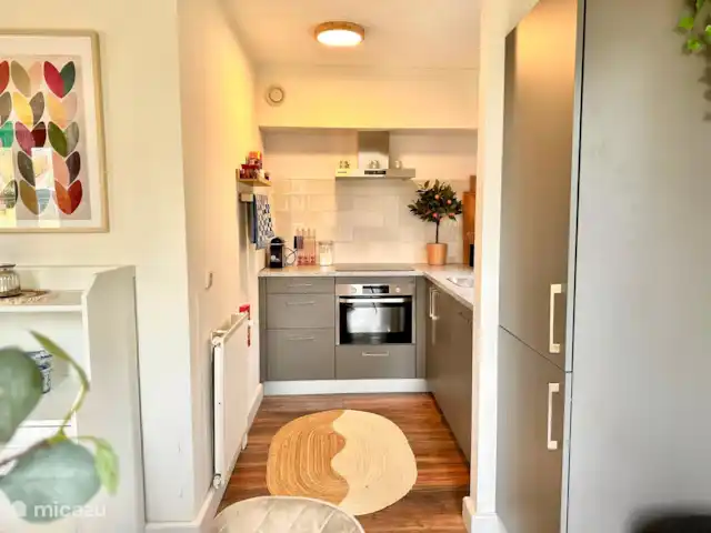 6p. Boshuis *Jacuzzi*De Groene Specht | Pays-Bas, Gueldre, Ewijk - maison de vacances Belle cuisine avec tous les garnitures
