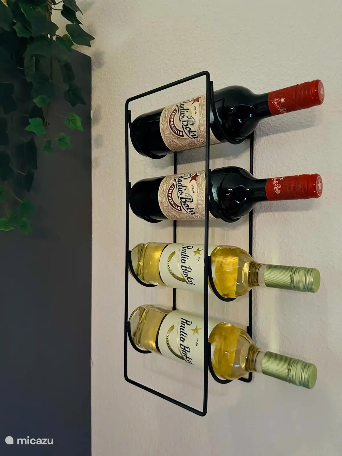 You can buy bottles of white and red wine from us for 9.95 euros each