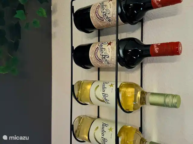 6p. Boshuis *Jacuzzi*De Groene Specht | Pays-Bas, Gueldre, Ewijk - maison de vacances Vous pouvez acheter chez nous des bouteilles de vin blanc et rouge pour 9,95 euros chacune
