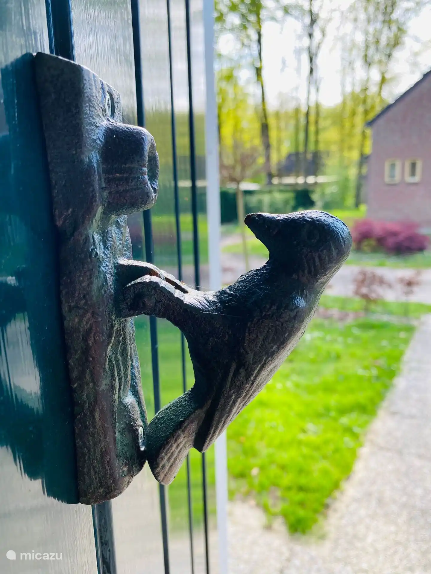 Our 'Green Woodpecker'