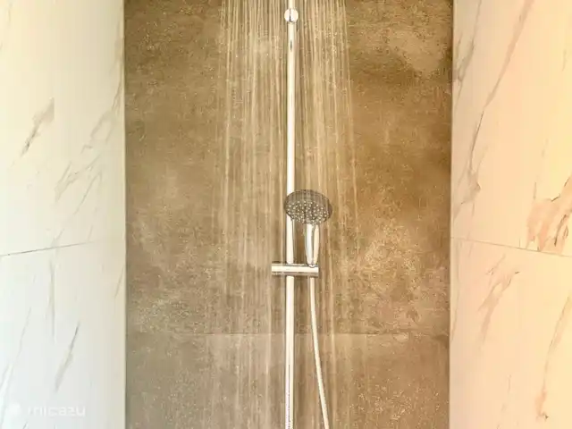6p. Boshuis *Jacuzzi*De Groene Specht | Pays-Bas, Gueldre, Ewijk - maison de vacances Douche à effet pluie