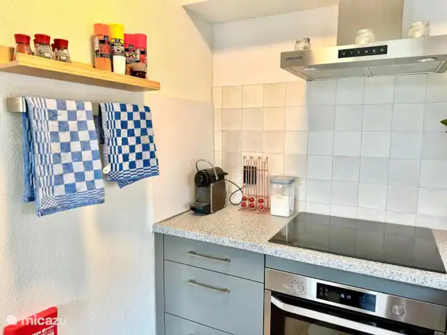 6p. Boshuis *Jacuzzi*De Groene Specht | Pays-Bas, Gueldre, Ewijk - maison de vacances Partie cuisson